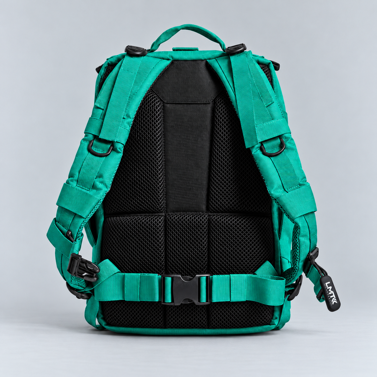 teal backpack – full rear view